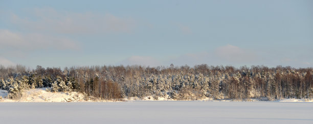 冬天的风景图片下载