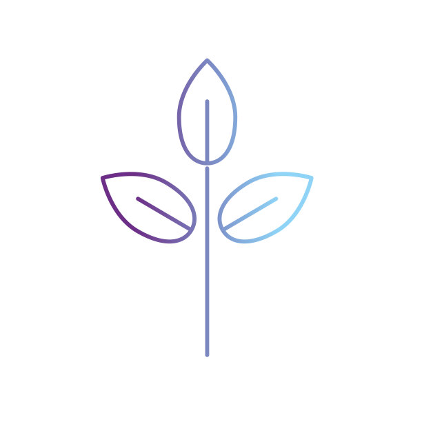 线天然植物带叶设计，生态呵护图片下载