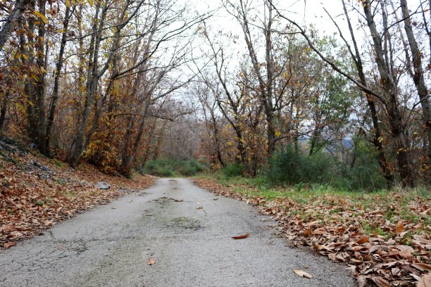 Desoated路图片下载