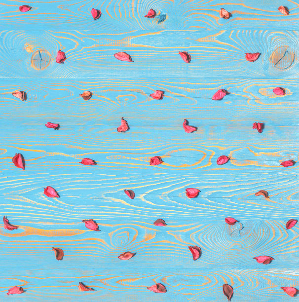 干红的花瓣排成一排放在蓝色的木质背景上作为背景，背景图片下载