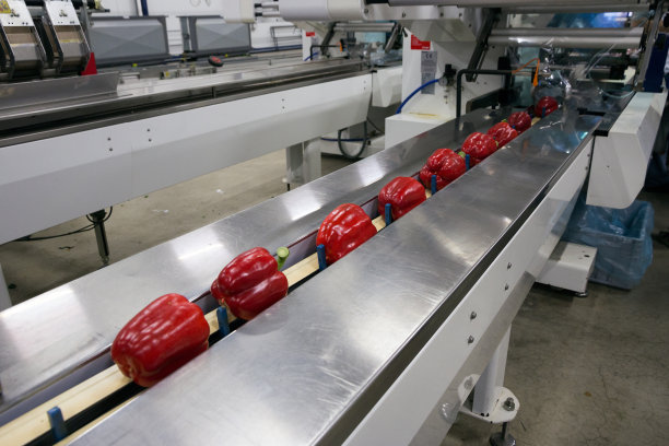 辣椒产业图片下载