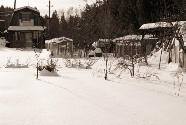 冬天的花园村图片下载