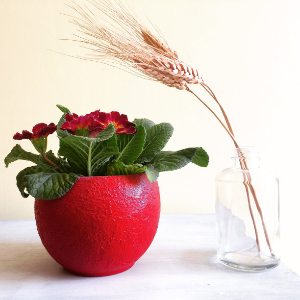 自制的装饰二世图片下载