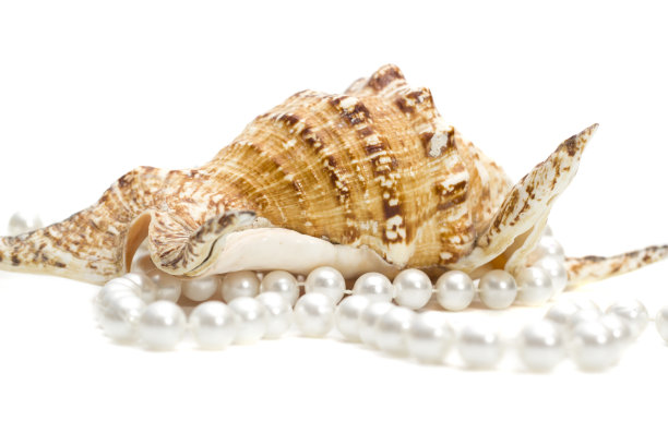 女性的婚礼珠宝。一长串粉红色的河珠。收集天然婚礼珍珠珠。微距照片孤立的白色背景。美丽的装饰异国海贝。图片下载