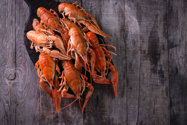 煮小龙虾与莳萝在黑暗的背景图片下载