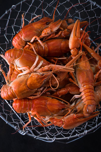 煮小龙虾与莳萝在黑暗的背景图片下载