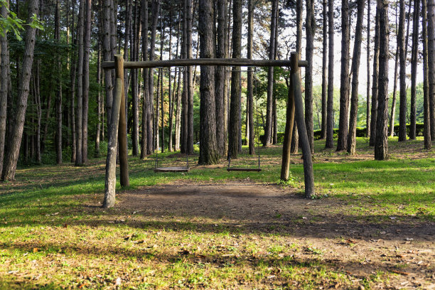 旧秋千图片下载