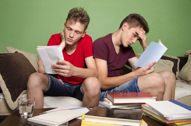 两个青少年忙于学习图片下载