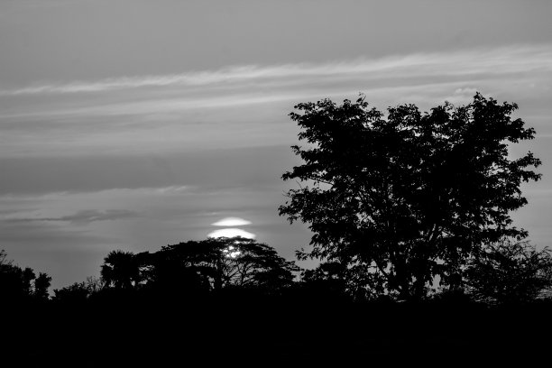 黑白背景图片下载