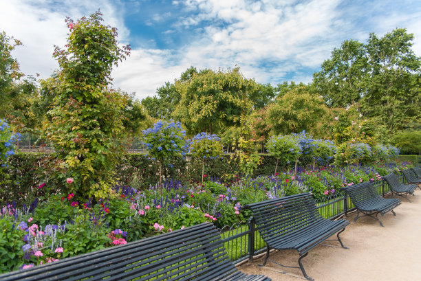 巴黎，卢森堡公园，公共公园图片下载