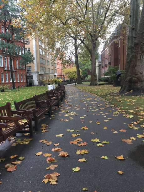 秋天在伦敦图片下载