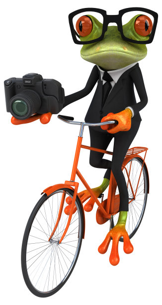 有趣的青蛙图片下载