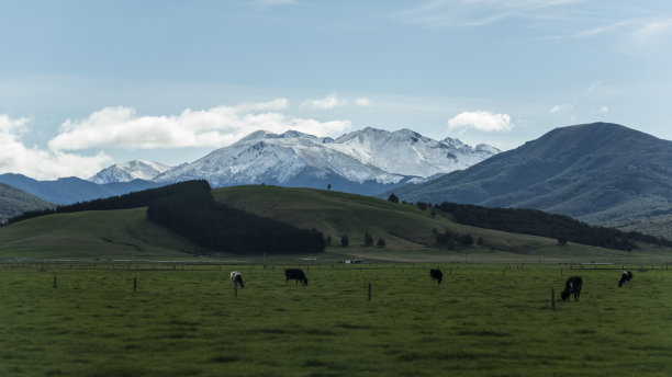 新西兰的非城市草原与雪山图片下载