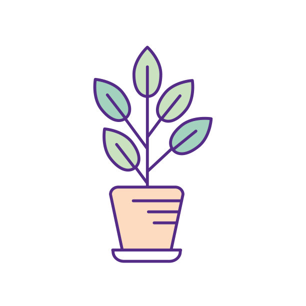 天然植物，花盆里有叶子图片下载