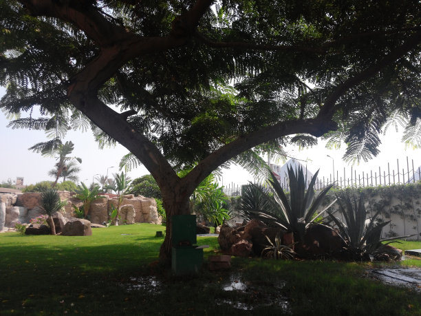 开罗艾美酒店图片下载