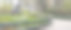 春天，纽约中央公园图片下载