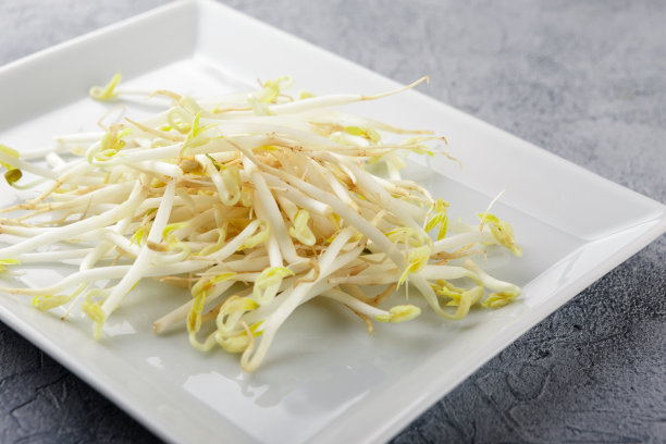白盘子里的豆芽。图片下载