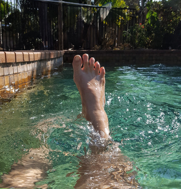 游泳池。图片下载