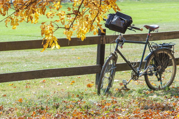 在公园里骑车图片下载