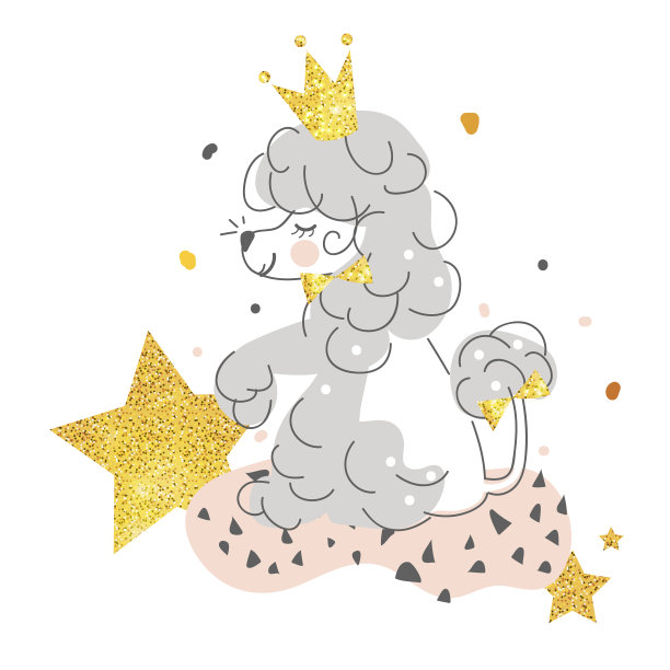 漂亮，微笑，可爱的狮子狗戴着金色的皇冠，还有星星图片下载