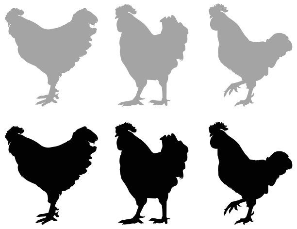 公鸡轮廓图片下载
