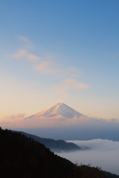 美丽的富士山和清晨的雾海图片下载