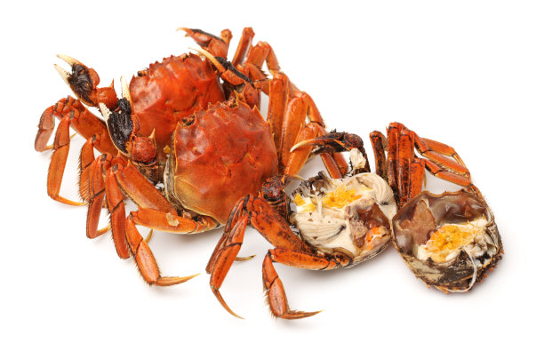 煮熟的蟹孤立在白色背景素材图片