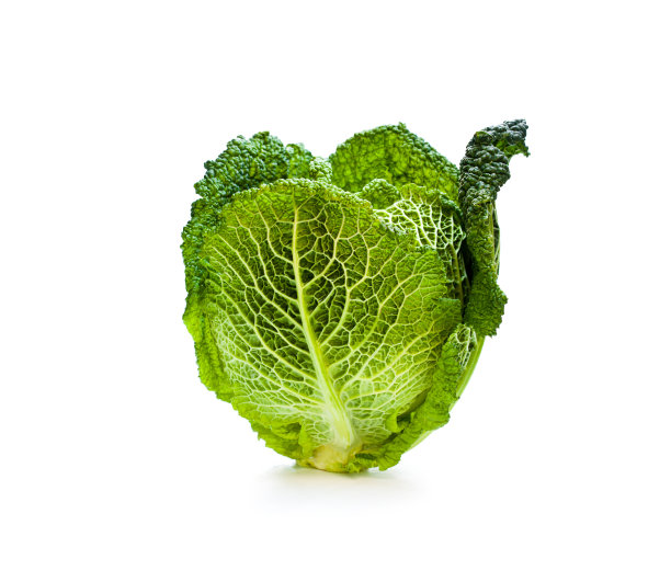孤立在白色背景上的萨伏伊卷心菜图片下载