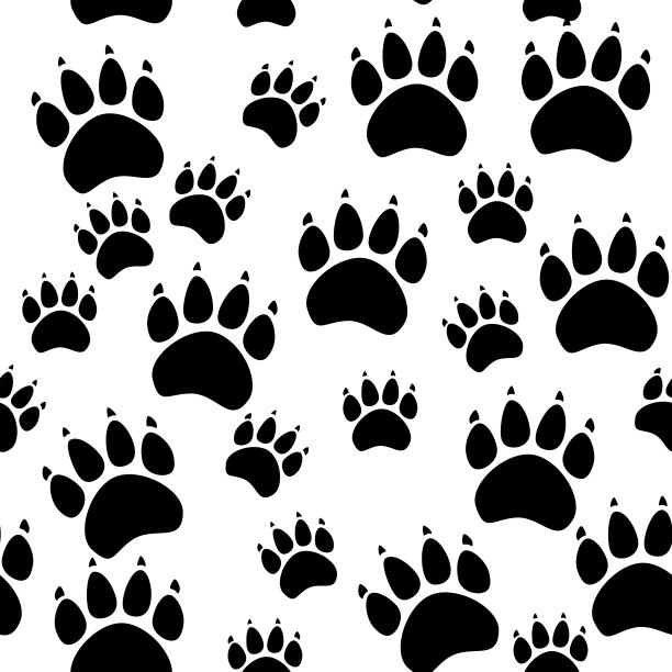 猫爪或狗爪无缝图案-矢量动物足迹纹理。矢量插图。图片下载