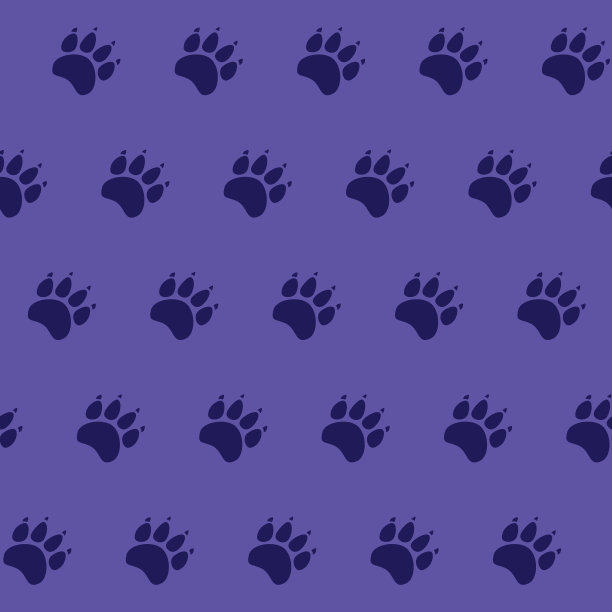 猫爪或狗爪无缝图案-矢量动物足迹纹理。矢量插图。图片下载
