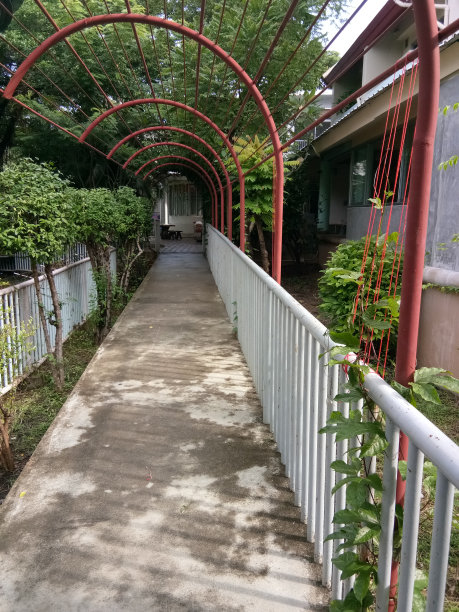 影子在人行道图片下载