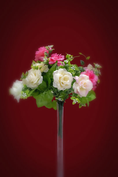 束玫瑰图片下载