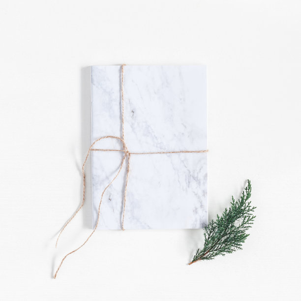 大理石笔记本和松枝。平躺，俯视图图片下载