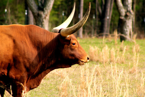 强热带风暴图片下载