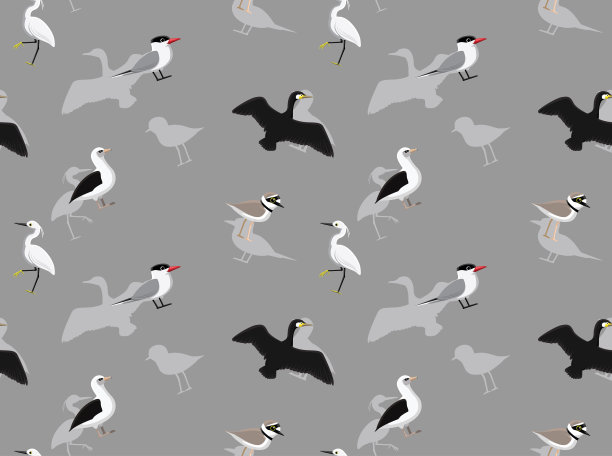 随机的非洲鸟墙纸图片下载