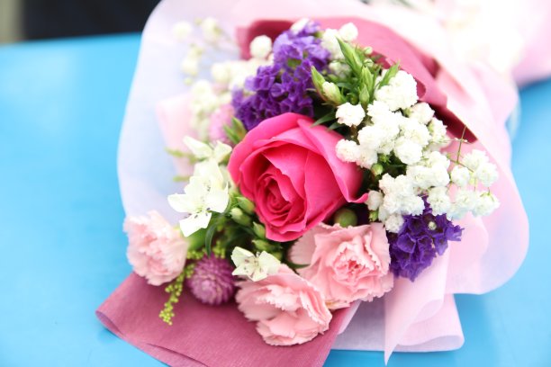 肉质植物和花图片下载