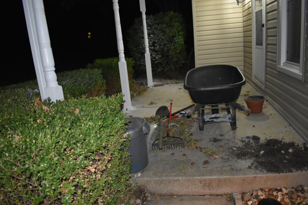 花坛景观图片下载