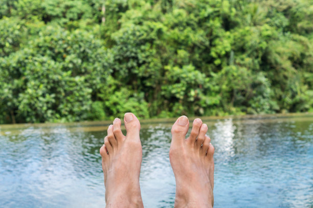 无边泳池与丛林全景图片下载