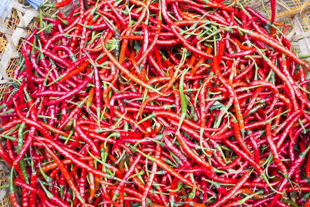 红辣椒壁纸图片下载