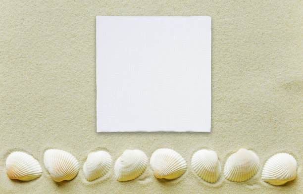 一排贝壳和一张白纸卡放在沙滩上图片下载