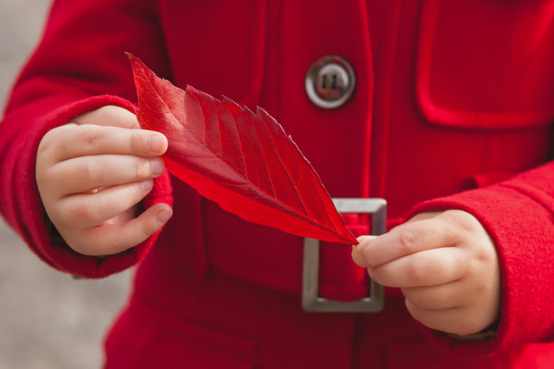 红秋留在孩子手里。图片下载