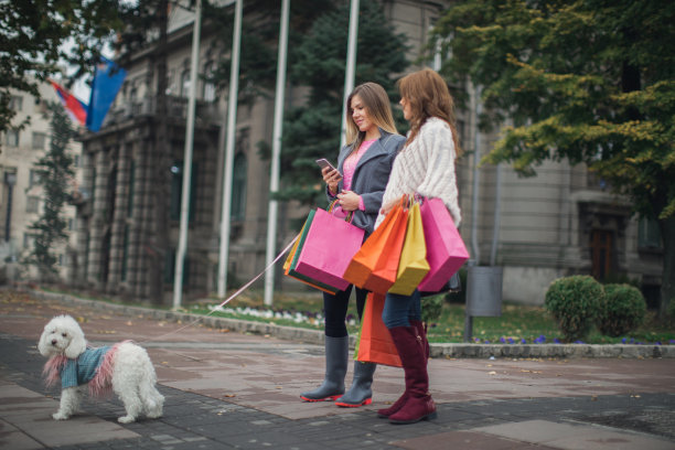 城市里拎着购物袋的美女图片下载