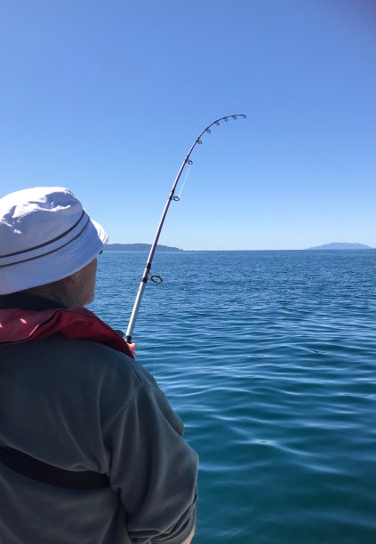 老人在新西兰沿海水域捕鱼图片下载