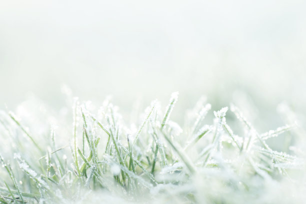 大寒节气照片素材ID：300207864