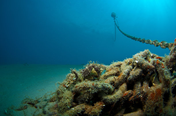 这就是你藏海马的地方图片下载