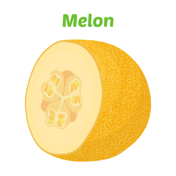 黄色熟瓜。有机新鲜水果。卡通平的风格。向量素材图片