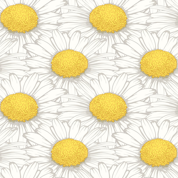 美丽无缝图案的雏菊花。婚礼、生日、情人节、母亲节等节日贺卡和请柬的设计图片下载