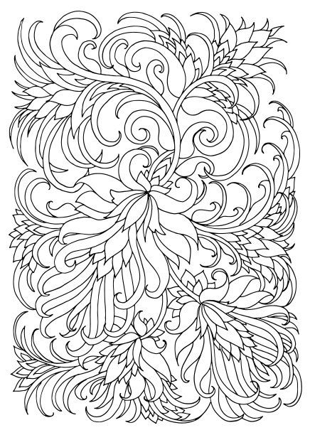 用花草填色页图片下载