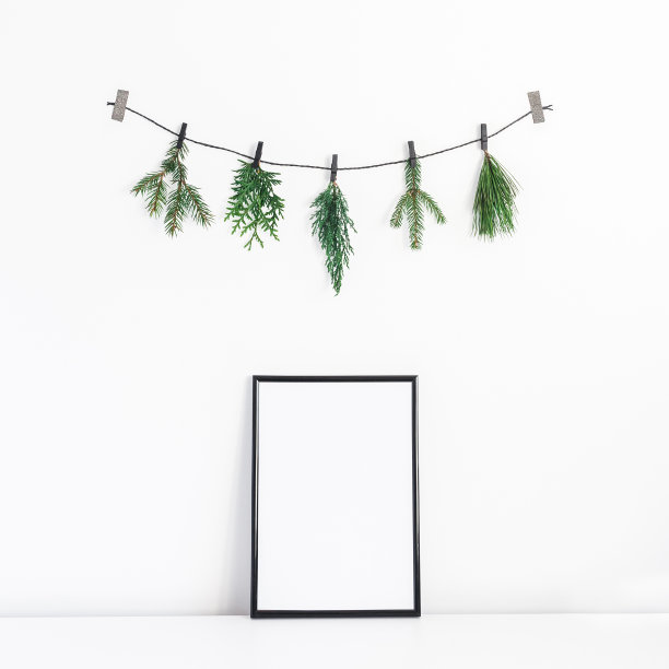 黑色框架和圣诞树的树枝。前视图,广场图片下载