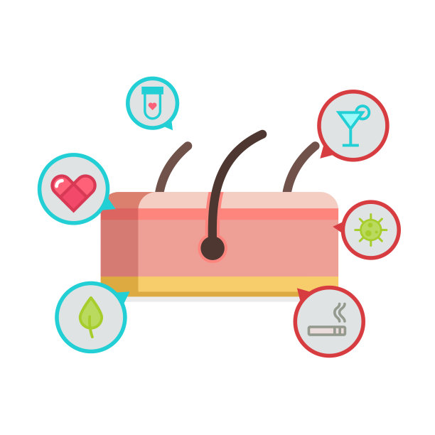 皮肤矢量图图片下载